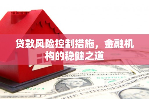 洞头贷款风险控制措施，金融机构的稳健之道
