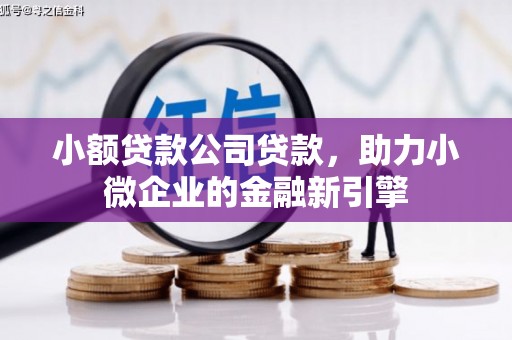 洞头小额贷款公司贷款，助力小微企业的金融新引擎