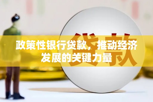 洞头政策性银行贷款，推动经济发展的关键力量
