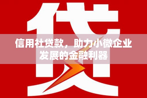 洞头信用社贷款，助力小微企业发展的金融利器