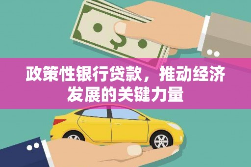 洞头政策性银行贷款，推动经济发展的关键力量