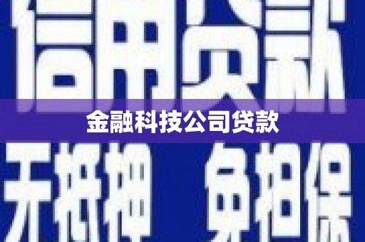 洞头金融科技公司贷款