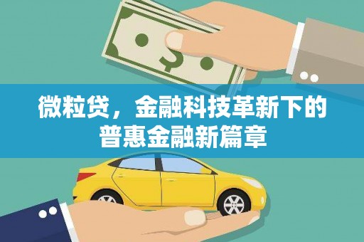 洞头微粒贷，金融科技革新下的普惠金融新篇章