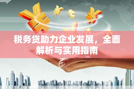 洞头税务贷助力企业发展，全面解析与实用指南