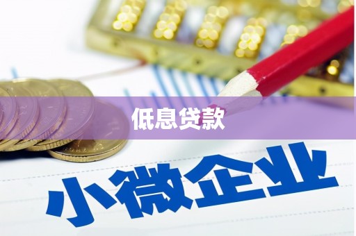 洞头低息贷款