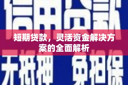 洞头短期贷款，灵活资金解决方案的全面解析
