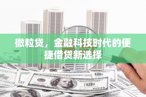 洞头微粒贷，金融科技时代的便捷借贷新选择