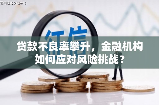 洞头贷款不良率攀升，金融机构如何应对风险挑战？