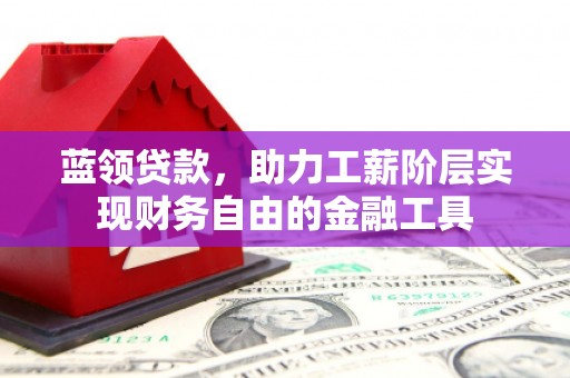 洞头蓝领贷款，助力工薪阶层实现财务自由的金融工具