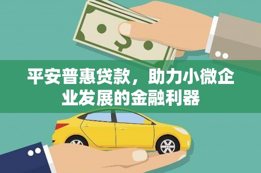 洞头平安普惠贷款，助力小微企业发展的金融利器