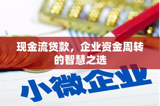 洞头现金流贷款，企业资金周转的智慧之选