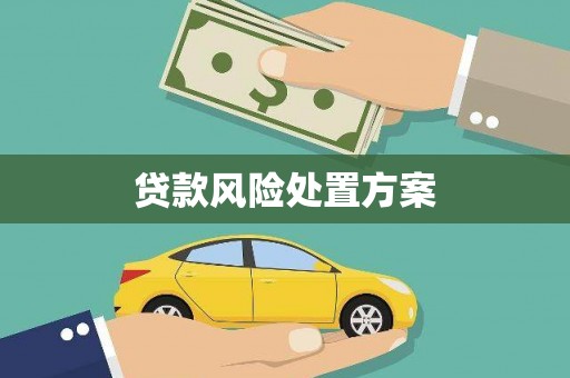 洞头贷款风险处置方案