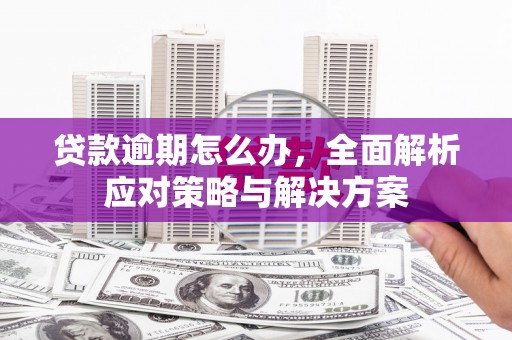 洞头贷款逾期怎么办，全面解析应对策略与解决方案