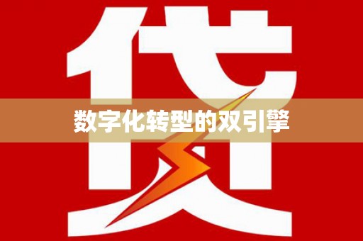 洞头数字化转型的双引擎