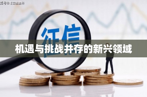 洞头机遇与挑战并存的新兴领域