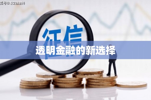 洞头透明金融的新选择