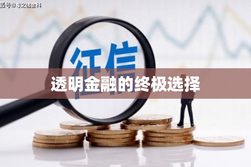 洞头透明金融的终极选择