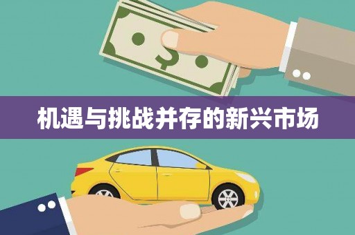 洞头机遇与挑战并存的新兴市场