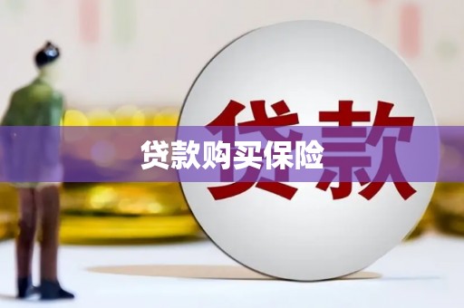 洞头贷款购买保险