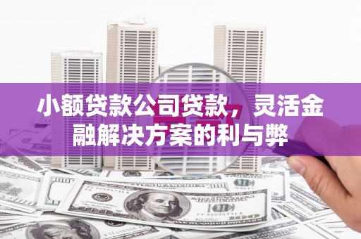 洞头小额贷款公司贷款，灵活金融解决方案的利与弊